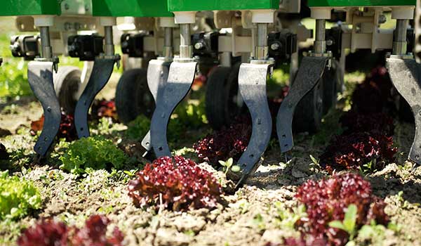 stecomat_img-bineuse_farming-600x350-02.jpg